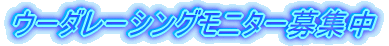 �E�[�_���[�V���O���j�^�[��W��